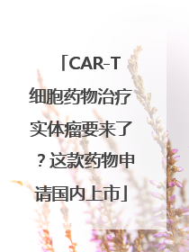 CAR-T细胞药物治疗实体瘤要来了？这款药物申请国内上市